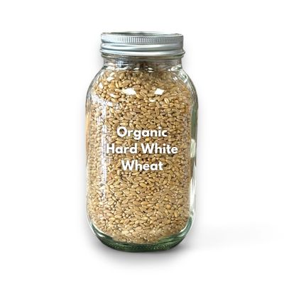 Hard White Wheat Organic