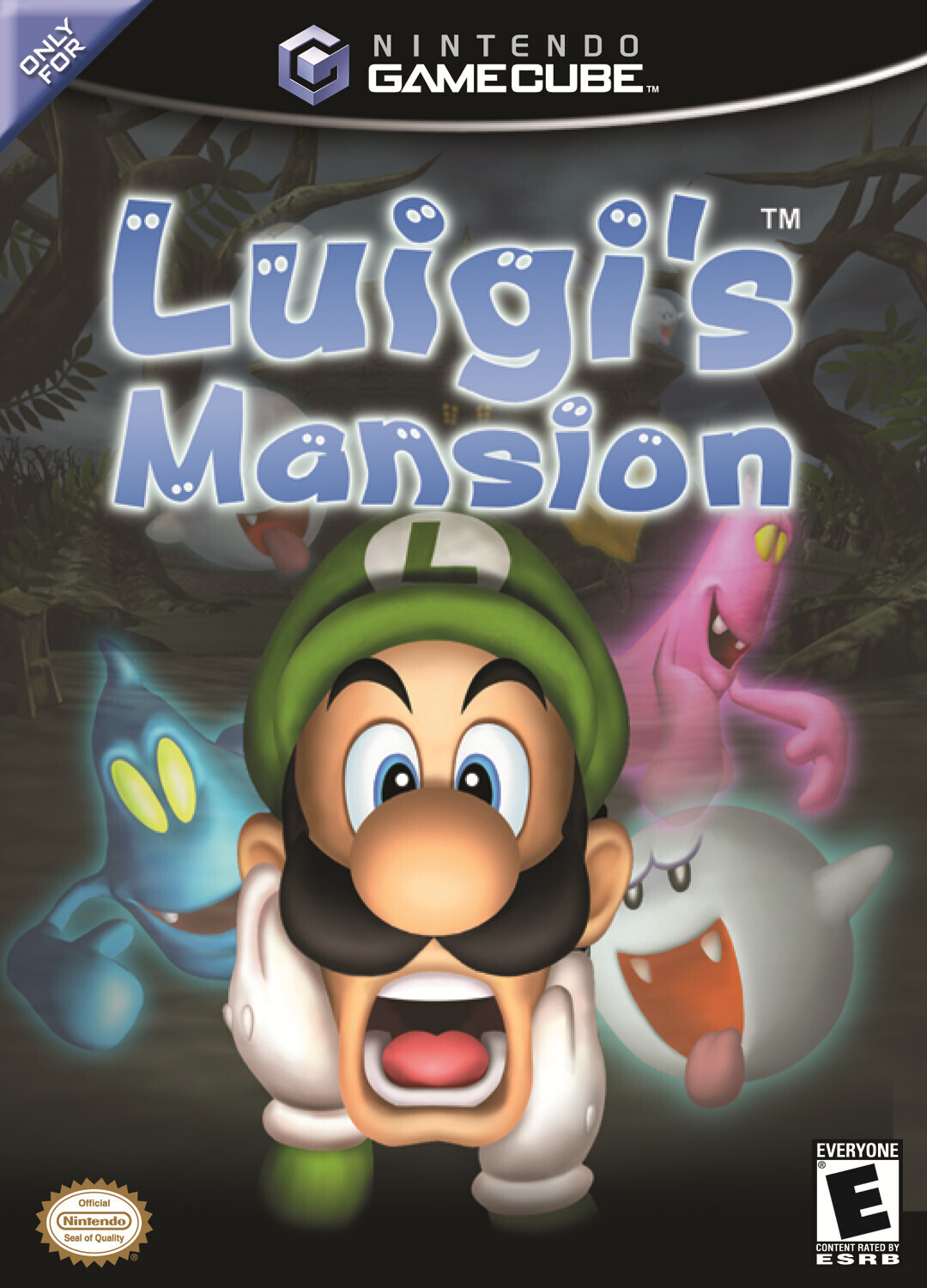Luigis Mansion -