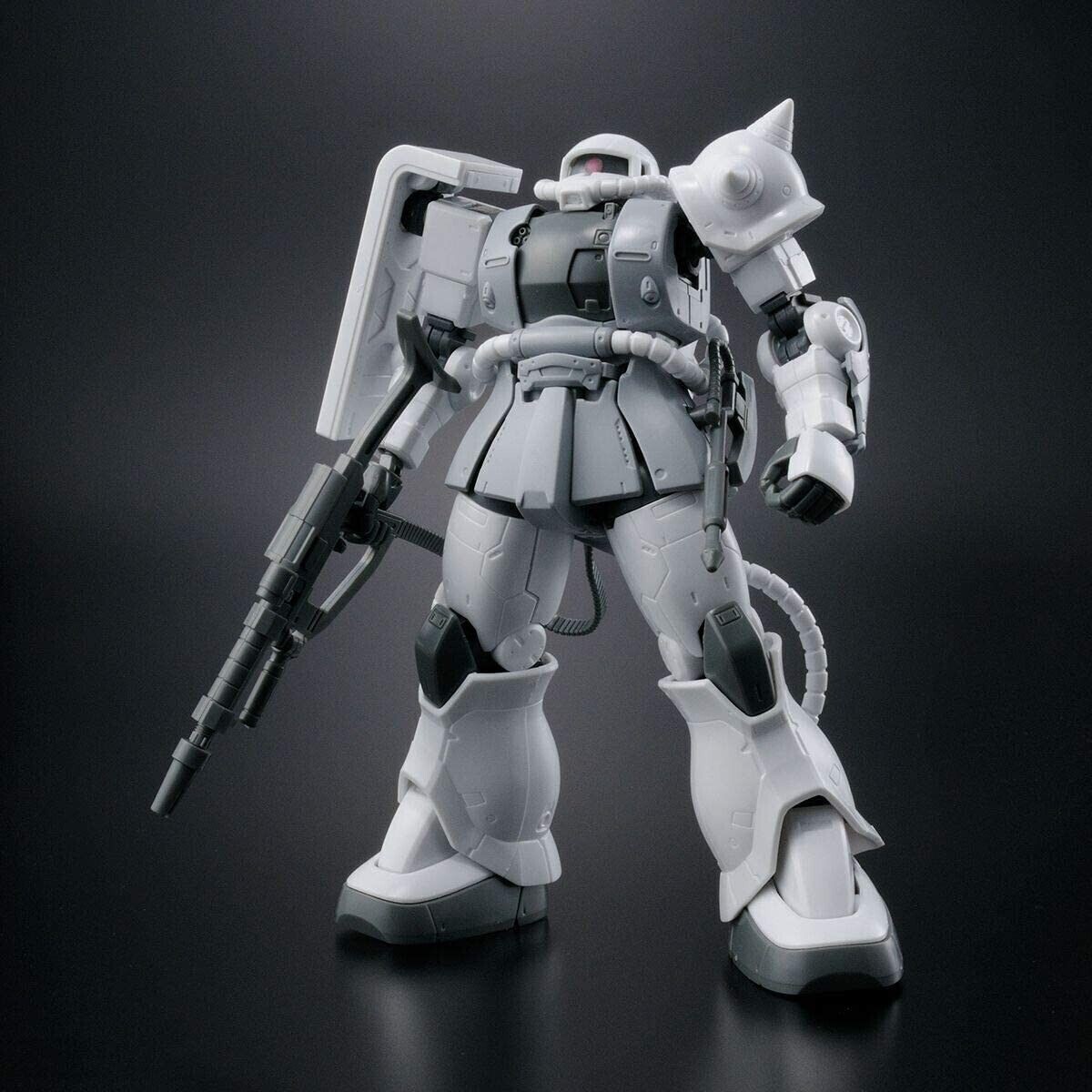 Gundam Base Limited Zaku II TYPE C-6/R6, Painting Model