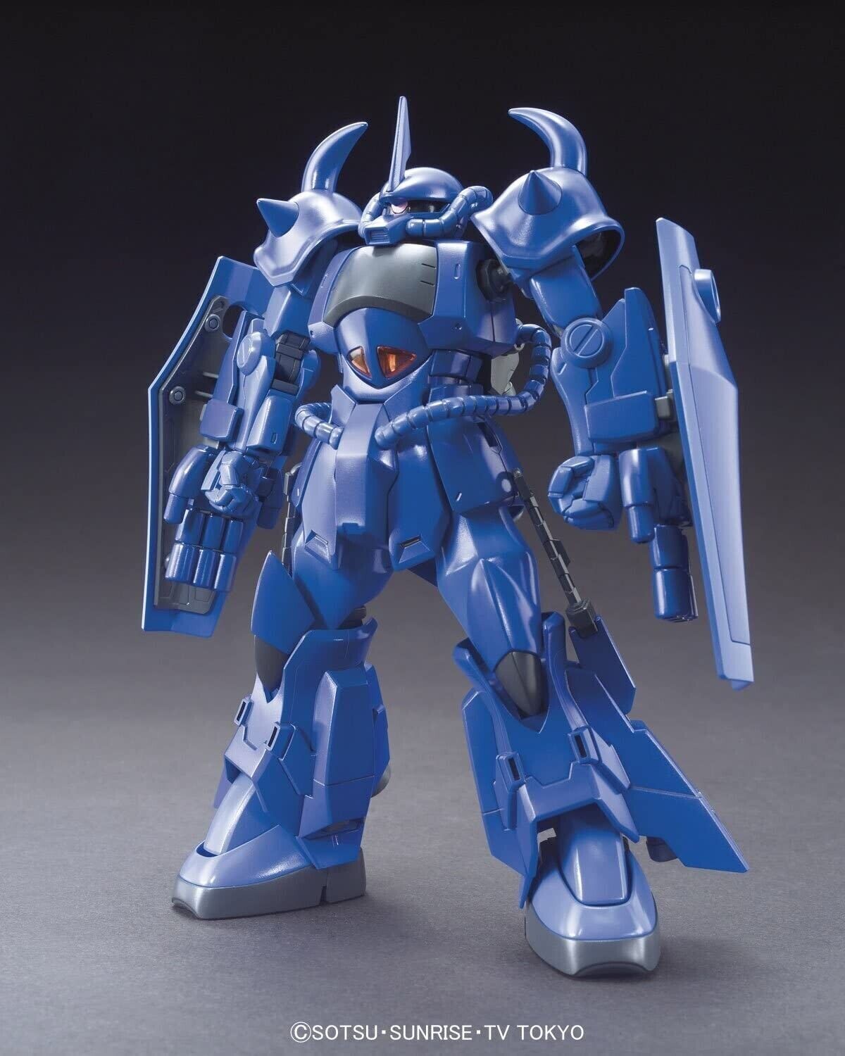 Gouf R35 Mr. Ral Custom