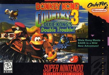 Donkey Kong Country 3 -
