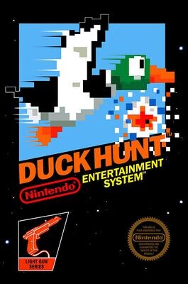 Duck Hunt - 