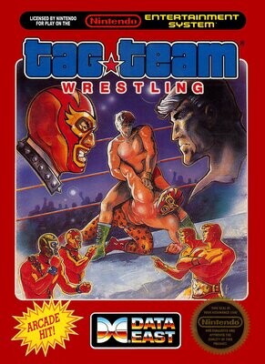 Tag Team Wrestling - 