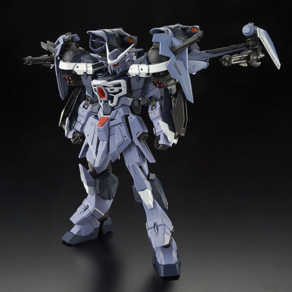 Aile Calamity Gundam GAT-X130 (FM, P-Bandai, SEED)