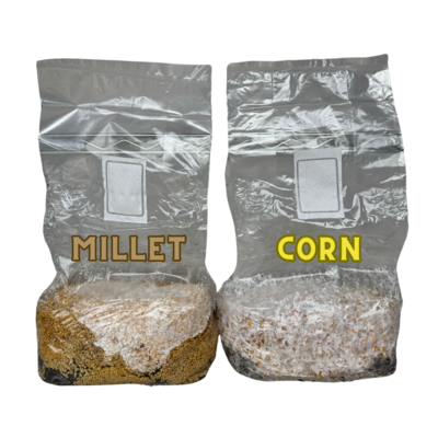 🚨PRE-ORDER🚨 *6 POUND* ALL IN ONE BAG READY TO GO GRAIN + SOIL