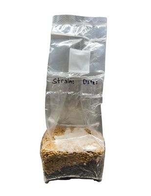 VARIETY 3: *2 POUND* ALL IN ONE BAG READY TO GO GRAIN + SOIL