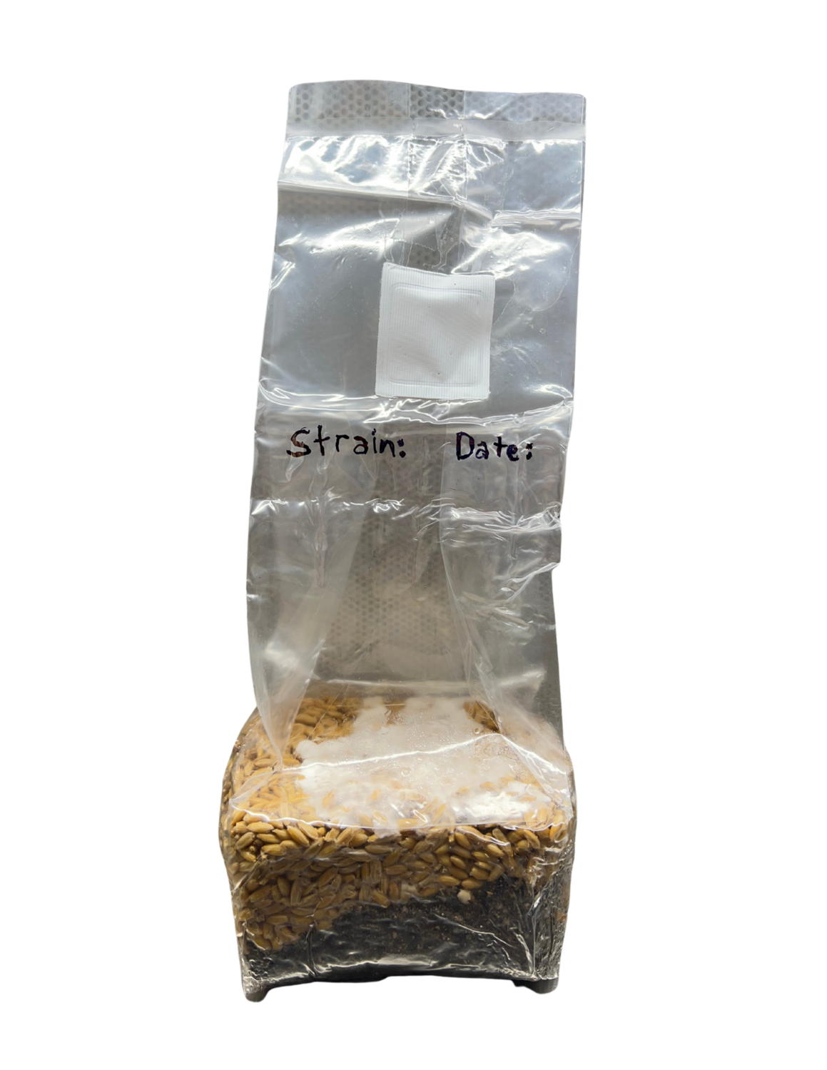 VARIETY 4: *2 POUND* ALL IN ONE BAG READY TO GO GRAIN + SOIL