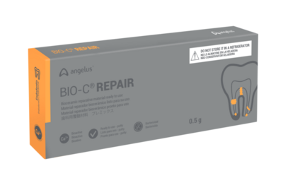 BIOCERAMIC ROOT REPAIR MTA ANGELUS ( 0.5gm Syringe )