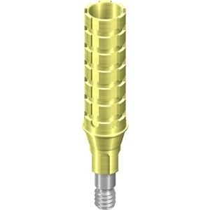 NC Temporary Abutment