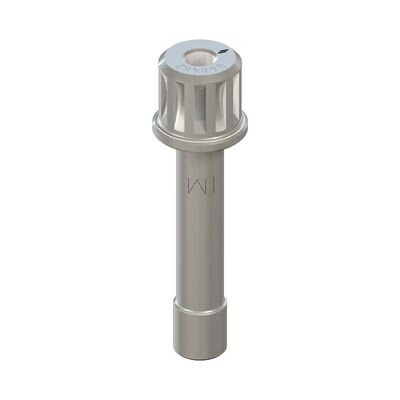IMPLANT HOLDER FOR RATCHET - LONG