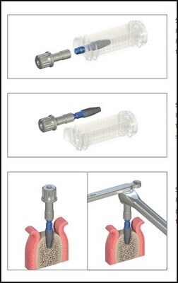 IMPLANT HOLDER FOR RATCHET - SHORT
