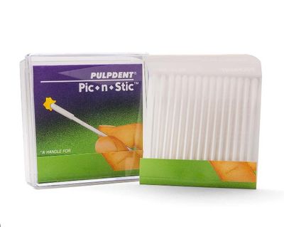 PIC N STIC PULPENT