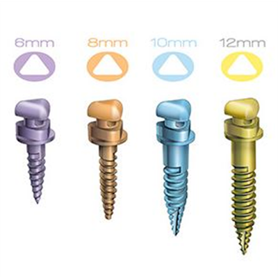 VECTORTAS - MINI SCREW ( 10mm x 2mm ) - 1 pc ONLY - ORMCO