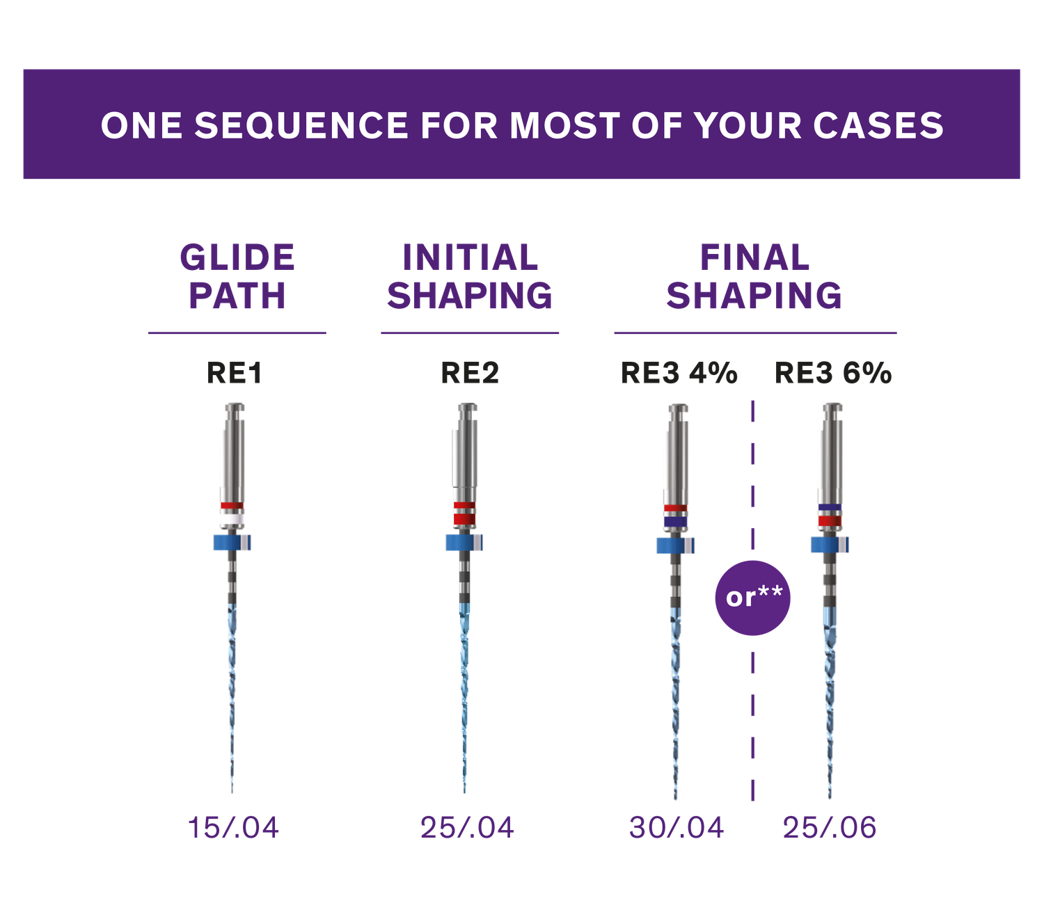 ROTARY FILES 31MM FKG 6PCS/KIT