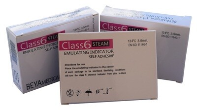 STEAM INDICATOR CARD ( Class 6 ) CARTON ( 250pcs / 100Box / Carton )