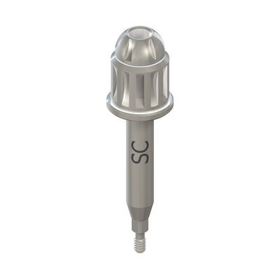 48H EXPLANTATION DEVICE for SC - length 29.7 mm, Ø 2.9 mm 48H EXPLANTATION DEVICE for SC - length 29.7 mm, Ø 2.9 mm