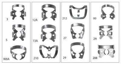 RUBBER DAM CLAMPS 1pc - CROSSTEX
