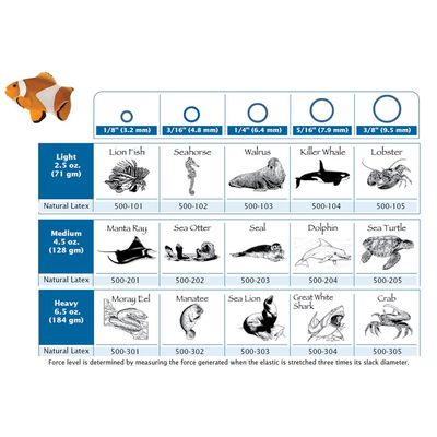 LATEX ELASTICS / creatures of the sea series ( 50 Bags ) - ORTHO TECHNOLOGY