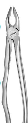 EXTRACTION FORCEPS ( ADULTS - BLADE BEAKS ) - MEDESY