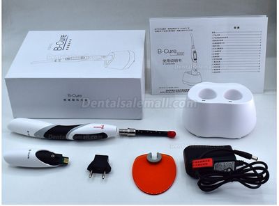 LIGHT CURE DEVICE B CURE - WOODPECKER