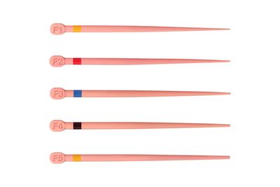 GUTTA PERCHA OBTURATION POINTS | CONFORM FIT ( 60pcs ) - DENTSPLY