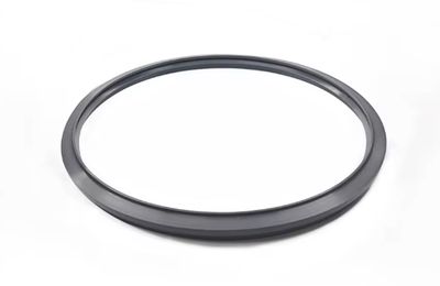 DOOR GASKET for RUNYES AUTOCLAVE