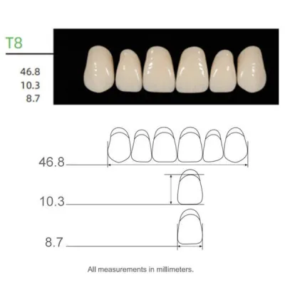 SYNTHETIC POLYMER TEETH  SET | Model : T8 / Shade : A2 - KAILI HUGE