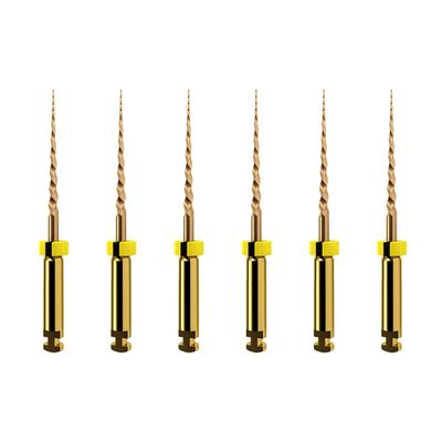 SX FILE 19mm 04 - PROTAPER Gold 6pcs KIT - DENTSPLY SX FILE 19mm 04 - PROTAPER Gold 6pcs KIT - DENTSPLY