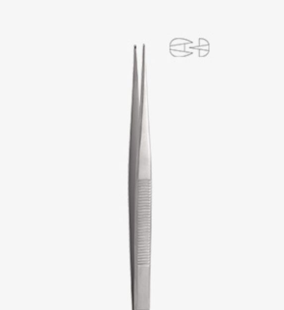 TISSUE TWEEZERS with RAT TOOTH TIP ( TAYLOR ) - MEDESY