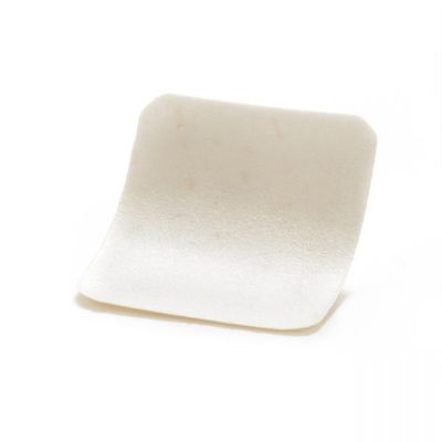 PERICARDIUM MEMBRANE ( FAST ) - 30 x 25 x 0.4mm BIG SIZE ( 1pcs/Box ) - UBGEN