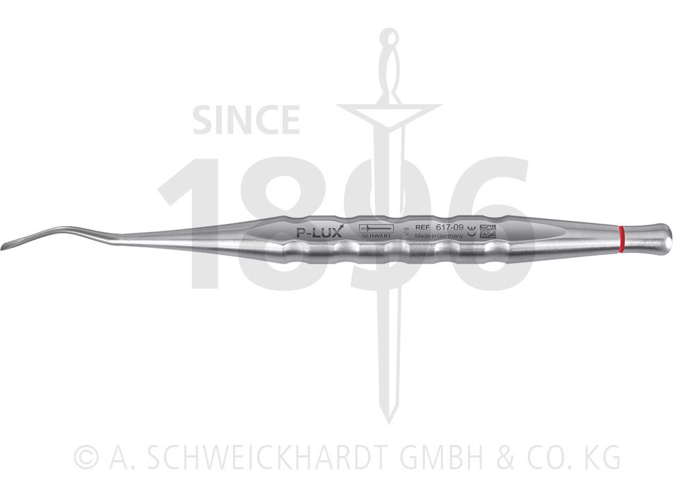 P LUX - ELEVATOR ( Curved 2.5mm - 16cM ) - SCHWERT