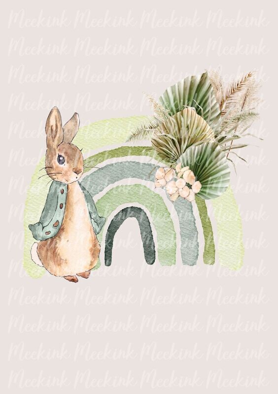 Bunny Pampas Grass