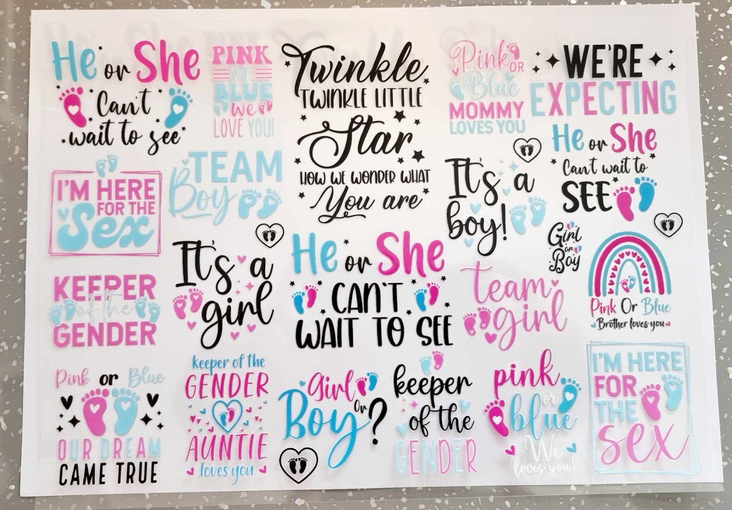 He or She? A4 Theme Sheet