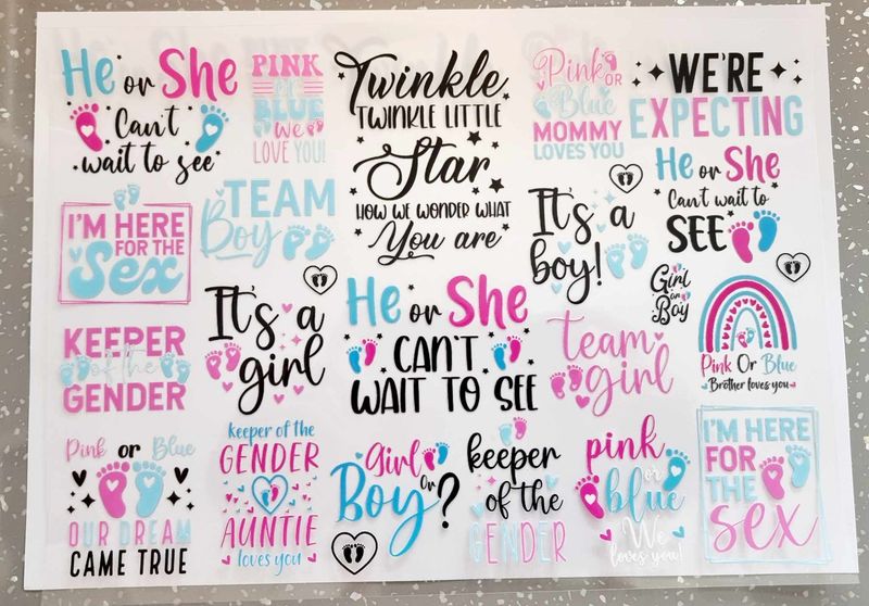 He or She? A4 Theme Sheet