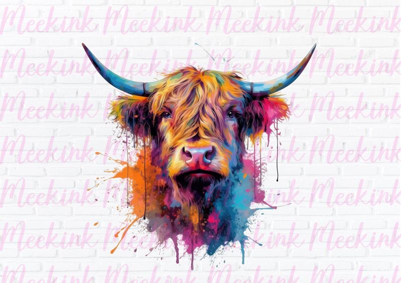 Highland Cow 4