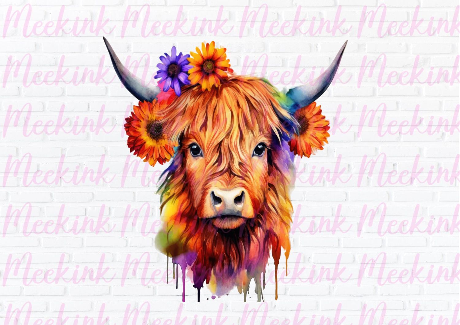 Highland Cow 8