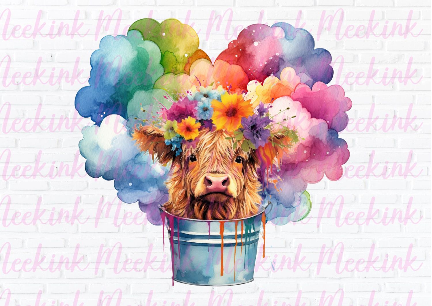 Highland Cow 15
