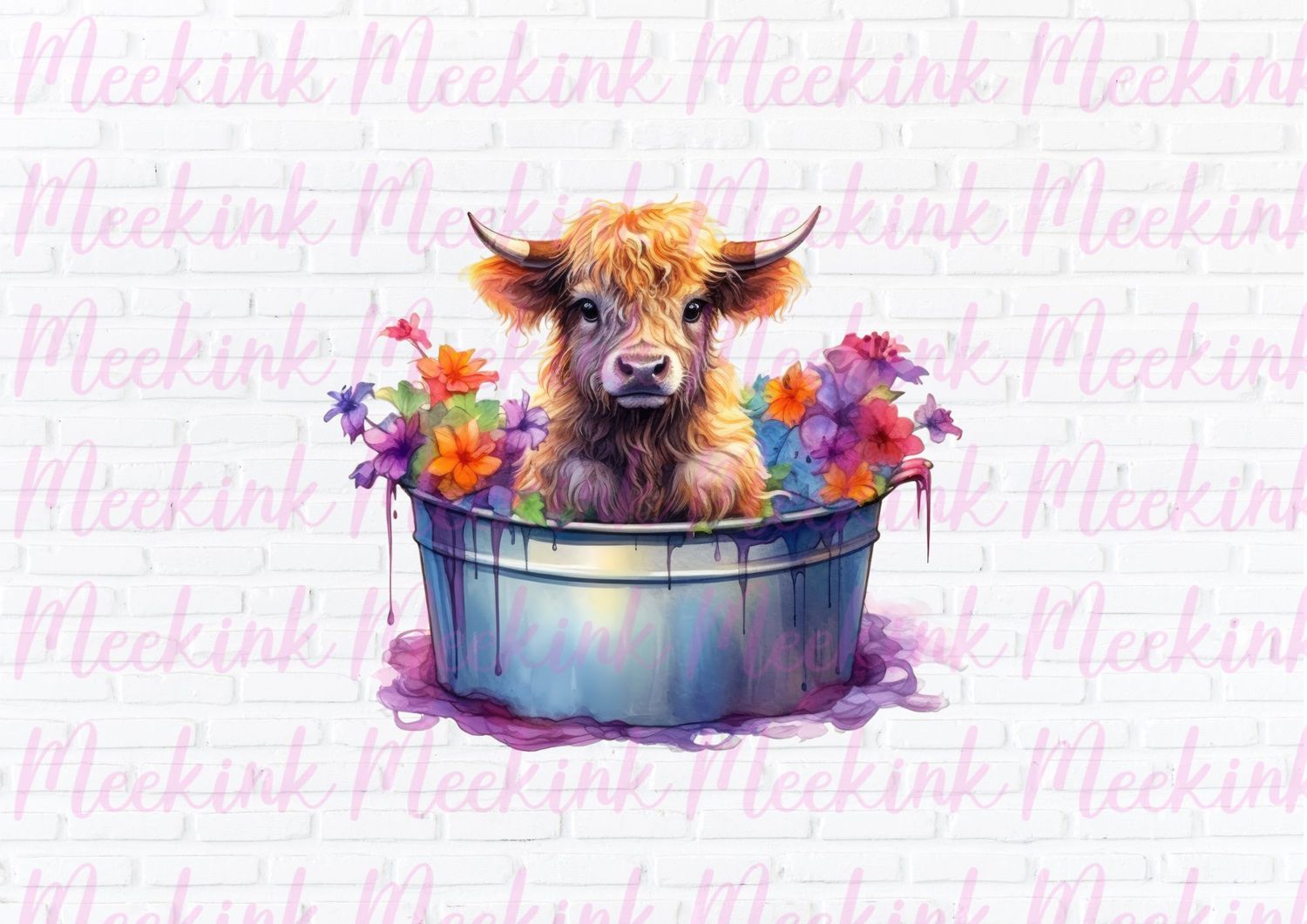 Highland Cow 19