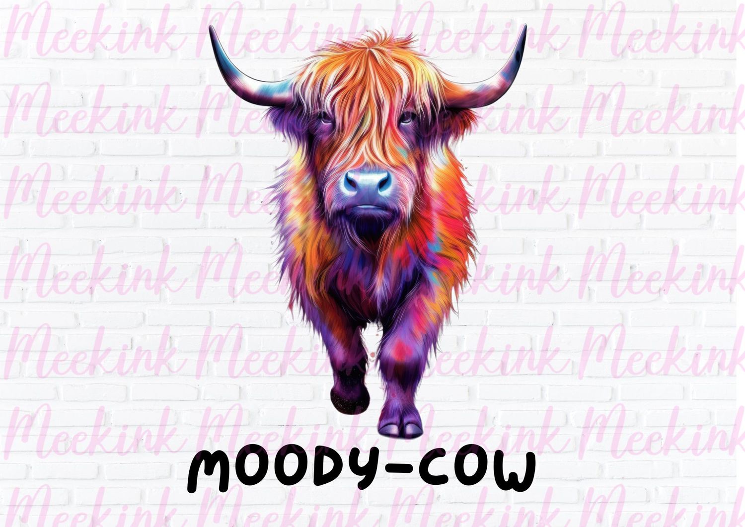 Highland Cow 3