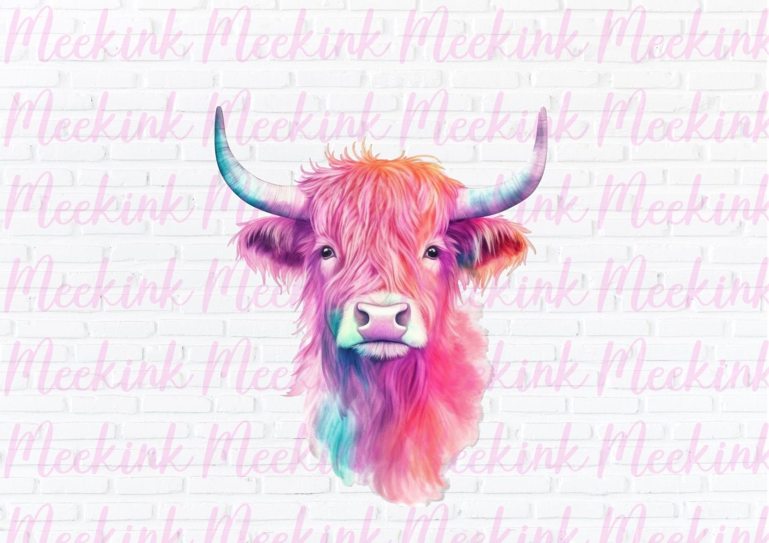 Highland Cow 11