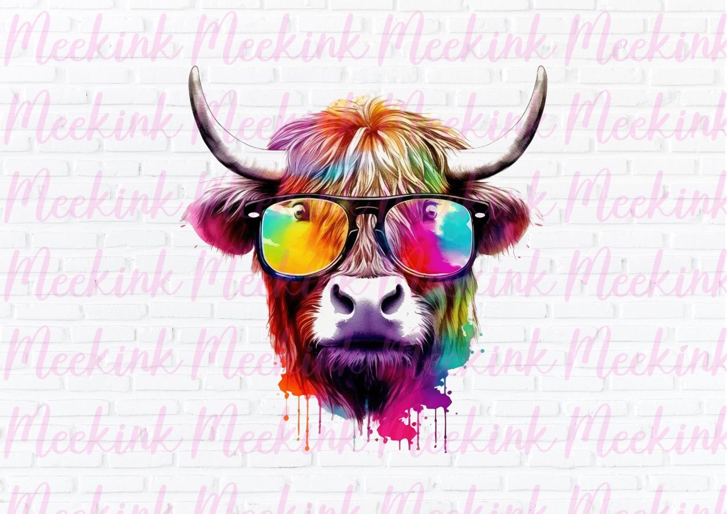 Highland Cow 17