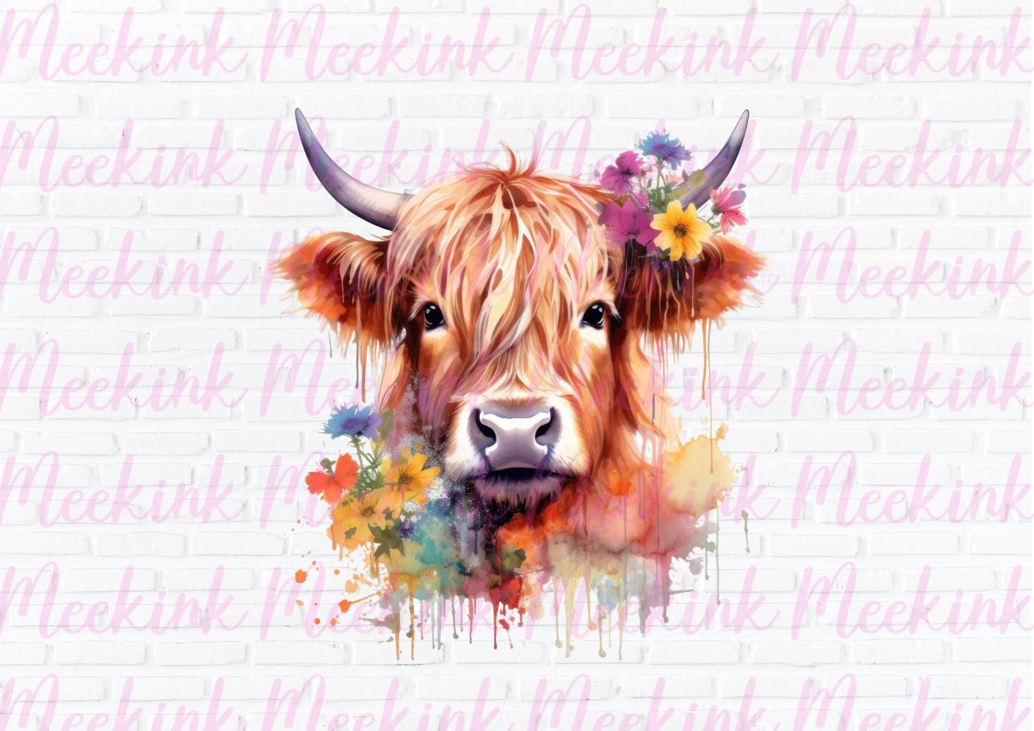Highland Cow 16