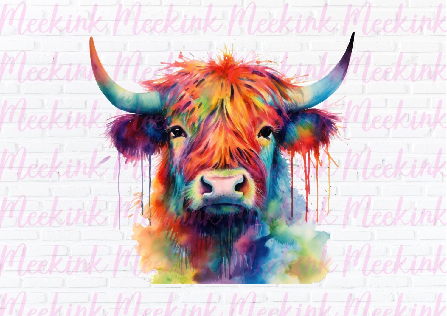 Highland Cow 28