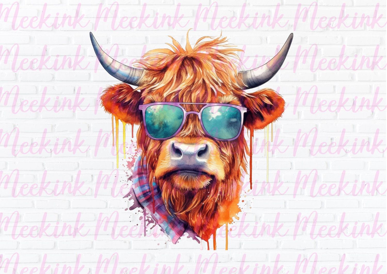 Highland Cow 29