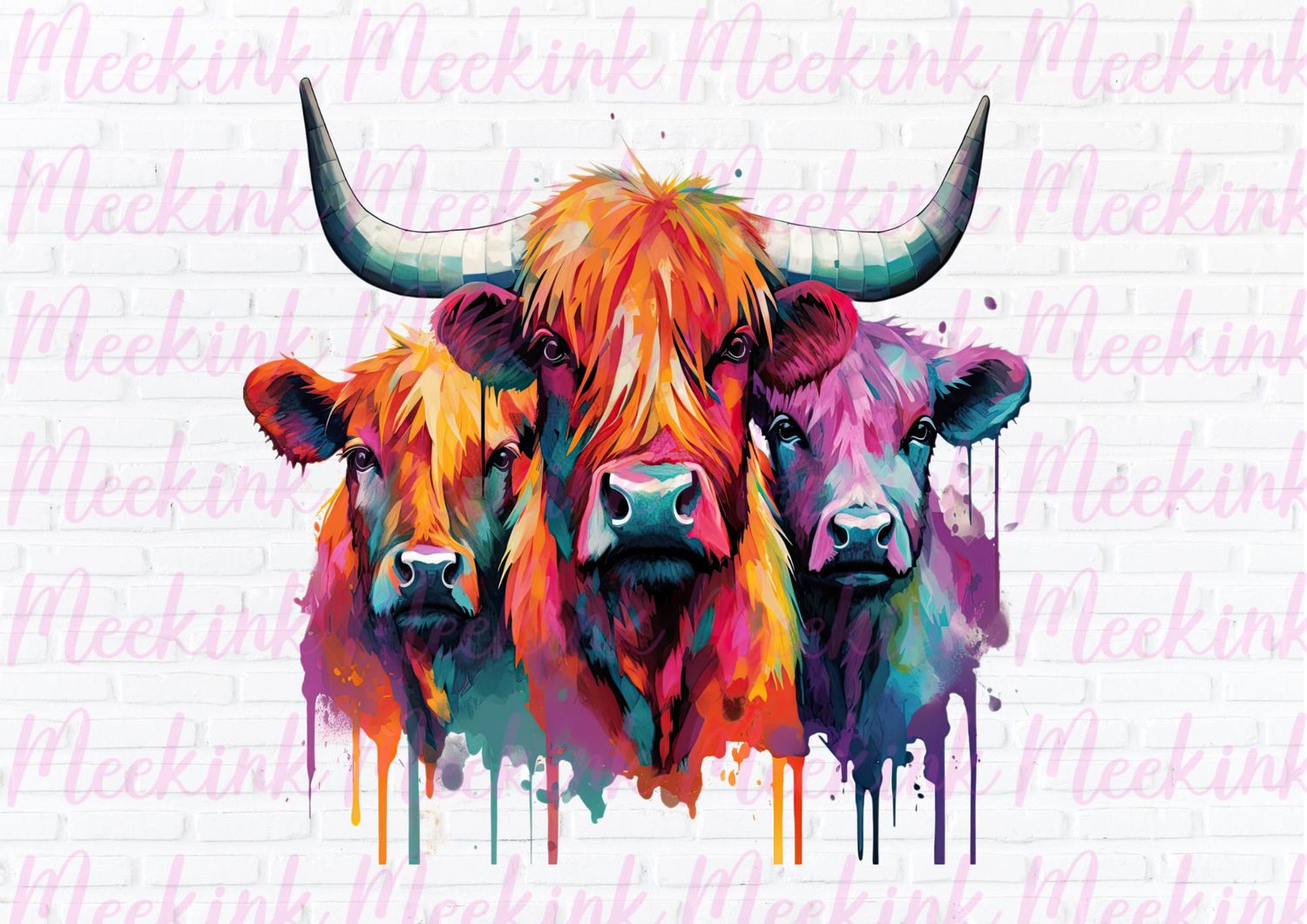 Highland Cow 27