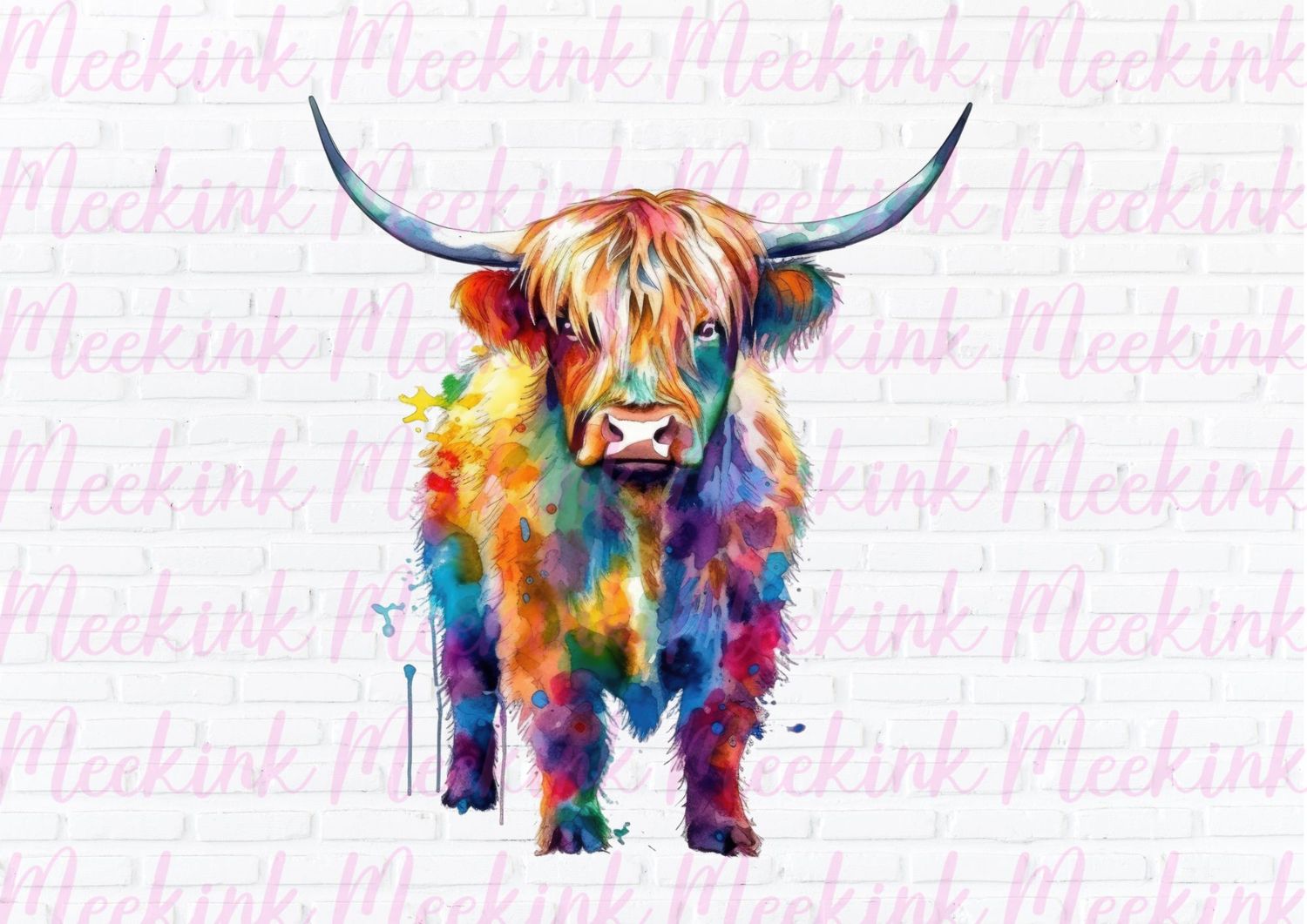 Highland Cow 36