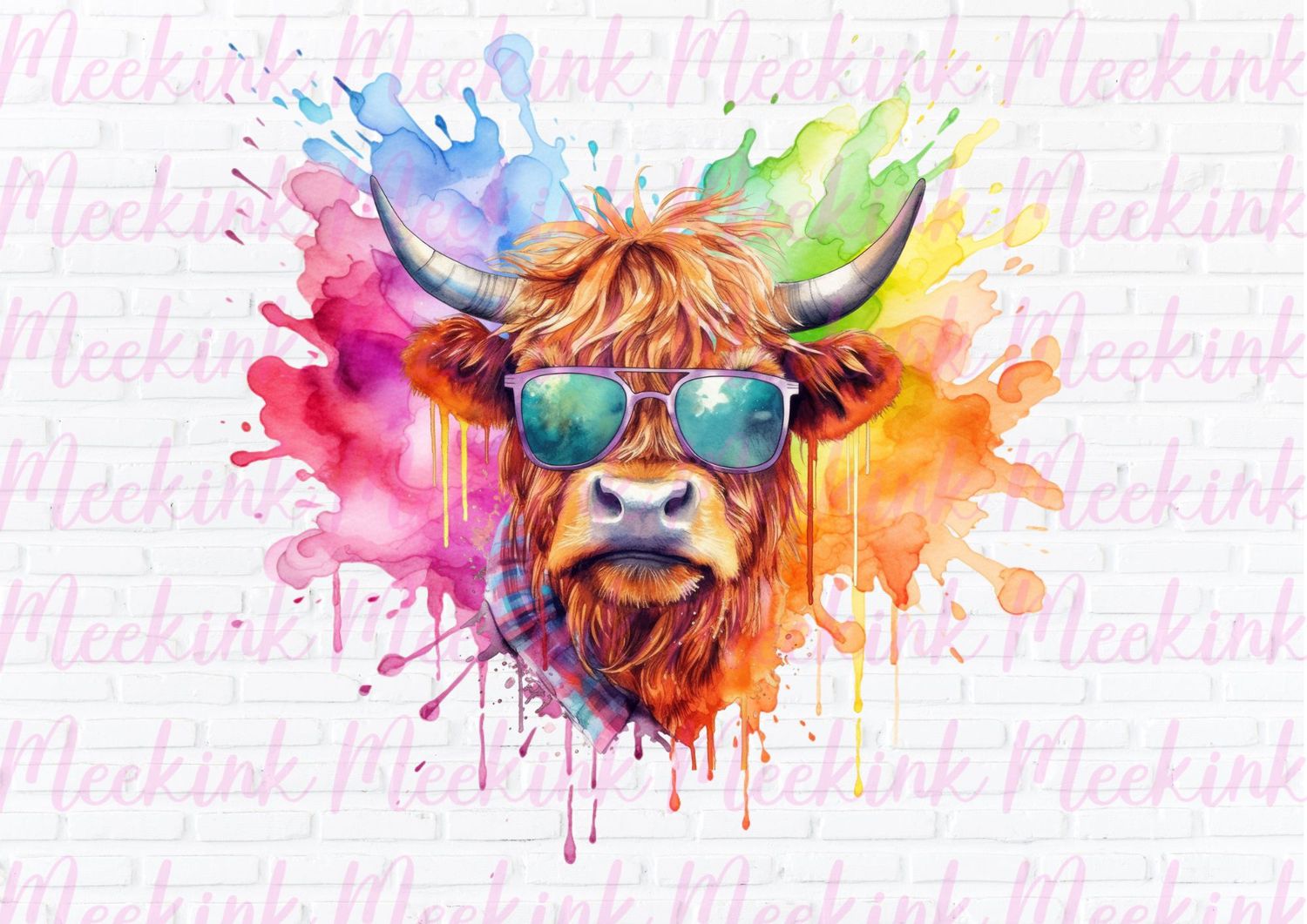 Highland Cow 70