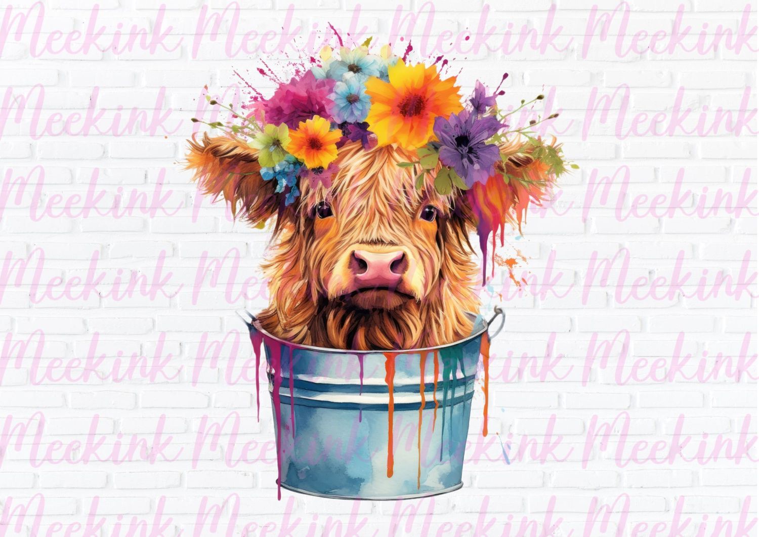 Highland Cow 39