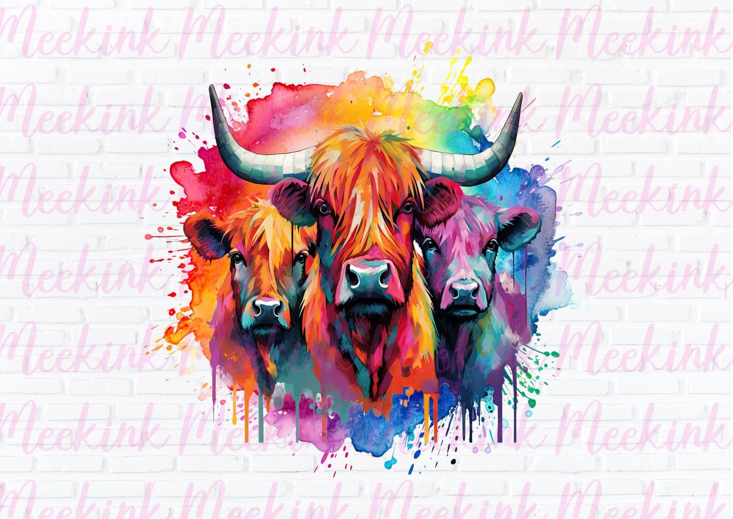Highland Cow 47