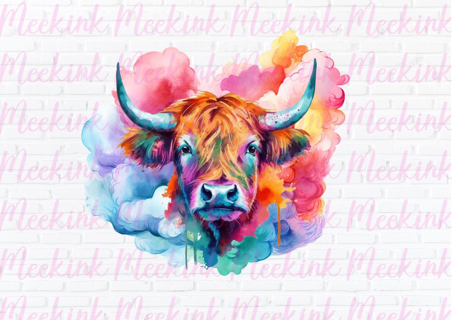 Highland Cow 52